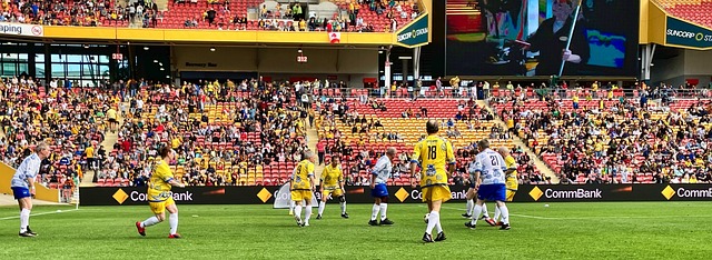 坚韧和拼搏 坚韧和拼搏