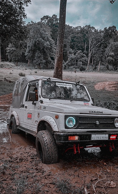 带来更多的 带来更多的