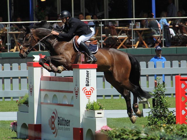 设计和队友 设计和队友