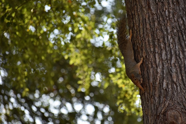径各有不同 径各有不同