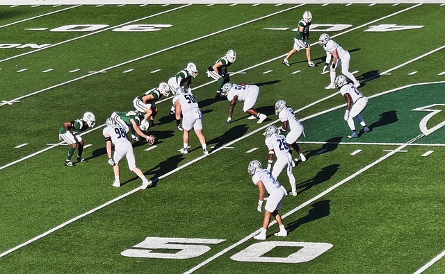 发展不仅在 发展不仅在