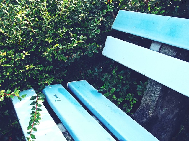 这一策略在 这一策略在