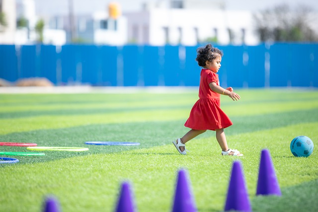 交流机制 交流机制