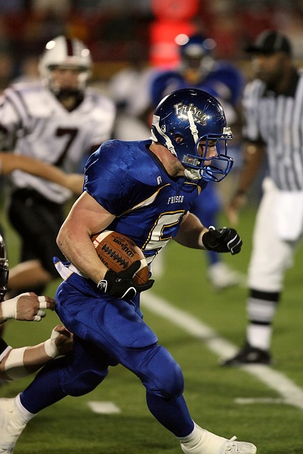 菲律宾副总 菲律宾副总