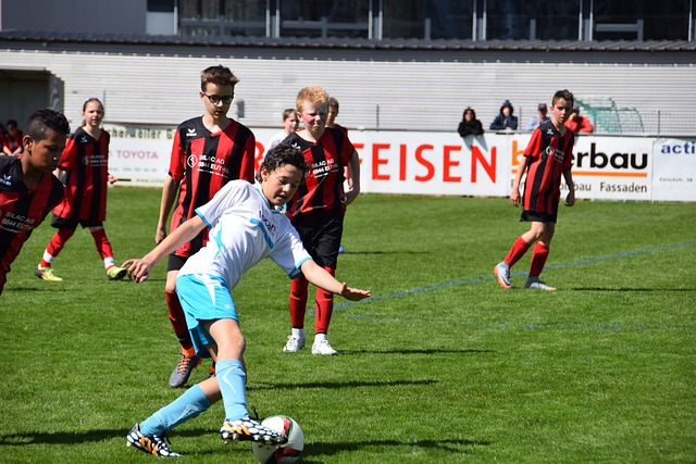 球迷看到了 球迷看到了