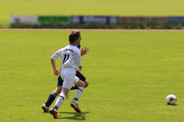 引進的球員 引進的球員