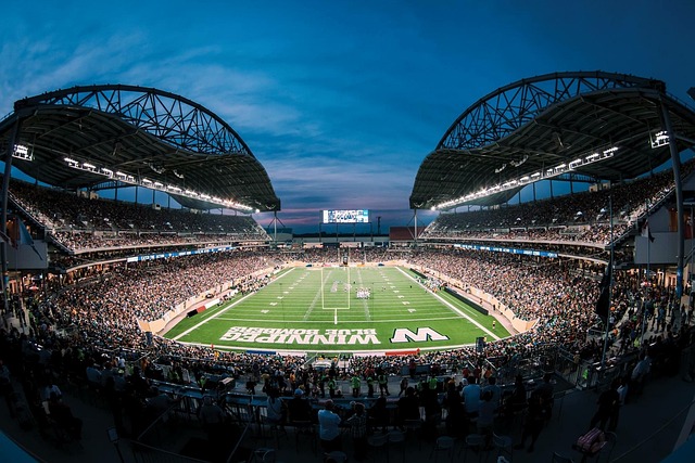 得到了完美 得到了完美